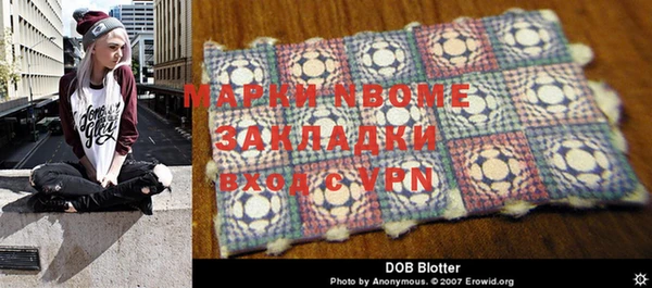 стафф Вязьма