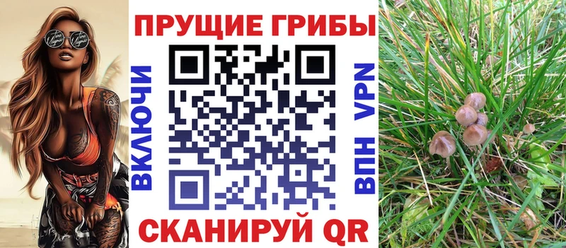 это телеграм  Оханск  Галлюциногенные грибы Psilocybine cubensis 