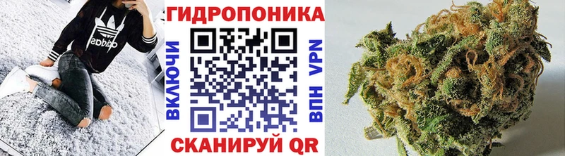 цены   Оханск  МАРИХУАНА OG Kush 